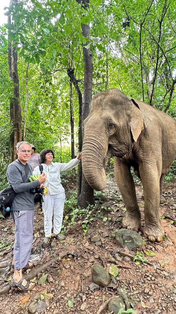 Wild Asian Elephants Cambodia: Ecotourism & Conservation