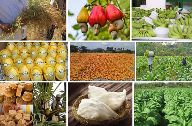 Cambodia’s Special Products: A Simple Summary