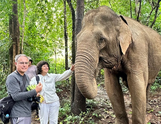 Protecting Wild Elephants in Cambodia: Good for Nature and People 🐘