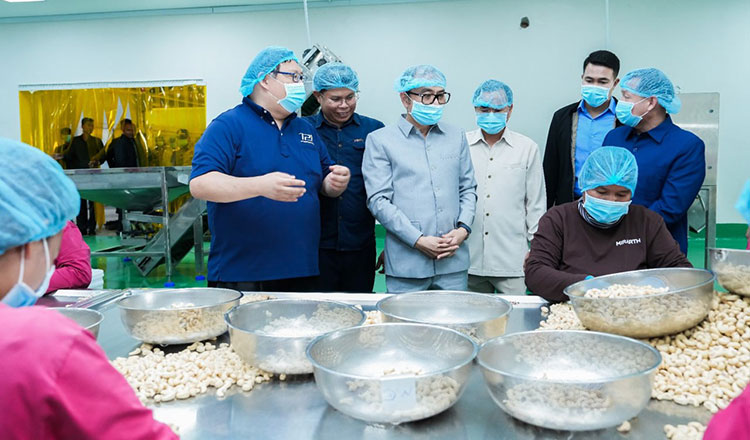 Government Strategy and Policy Support for Cashew Processing